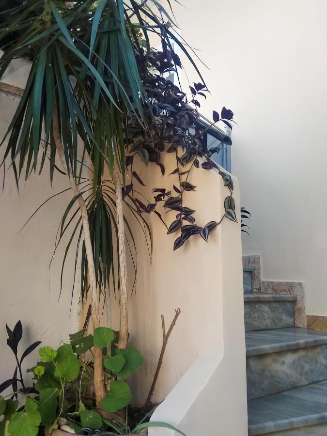 סרנדה Villa 29 מראה חיצוני תמונה